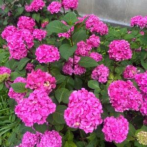 Meet your Posher, Jaelyn